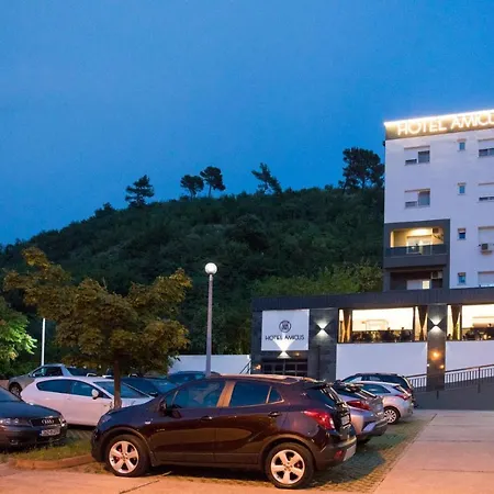 Amicus Hotel 4*