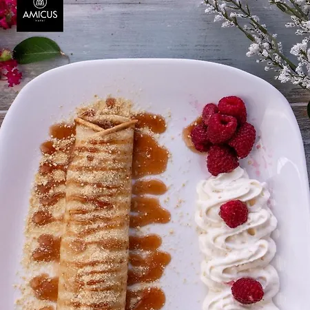 Amicus 4*